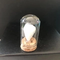 Spécimen de cristal blanc sous cloche en verre avec base en liège décorative - Howlite