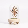 Albero di cristallo colorato in cupola di vetro con base decorativa in legno naturale - Tormalina / 13*7.5cm / Con Confezione Regalo