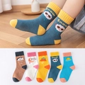 Set of five pairs of cotton crew socks for kids featuring cute embroidered weather patterns - Weather Children's Socks / 8 Months - 2 Years (foot Length 9-12cm)