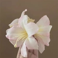 Pink and white gradient floral hair clip with gold metal base for women's hairstyling - Pink Lily Hair Claw