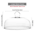 Large 26cm diameter transparent glass dome lid for cake tray with spherical handle - 10-inch Large Glass Dome Cover