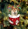 Süßer Shiba Inu Hund in rotem Weihnachtsstrumpf als festlicher Baumschmuck Anhänger - Shiba Inu