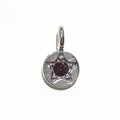 Silver round birthstone pendant with deep red gemstone and star engraving detail - Silver - February