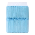 Thick light blue disposable pet training pads in transparent plastic packaging - Size S 33x45cm (100 Count) / Summer Cool Type