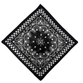 100% cotton paisley bandana with skull motif and black and white checkered border - Black and White Checkerboard Skull