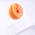 Flesh-colored silicone ear model on acrylic stand for piercing practice and display - Flesh-Right Ear