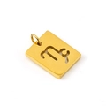 18K gold plated stainless steel rectangle pendant with cutout zodiac design - Capricorn