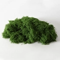 Deep Green Moss Silk 100g