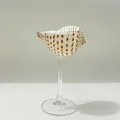 Artistic shell wine glass with natural spotted shell and slender glass stem - Transparent Base Harp Snail Wine Glass