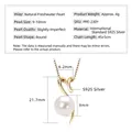 S925 sterling silver necklace with a 9-10mm round natural freshwater pearl pendant - Streamer / Silver