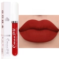 Vue macro du rouge à lèvres liquide mat teinte 14 avec fini rouge foncé et emballage - 14#