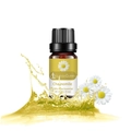 10ml Chamomile essential oil in amber glass bottle with fresh flowers and splash effect - Chamomile (single Ingredient)