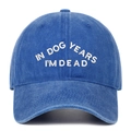Détail du texte brodé blanc 'IN DOG YEARS I'M DEAD' sur une casquette en coton bleu délavé - Taille unique / Bleu clair
