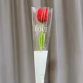 Handmade crochet red tulip flower with green stem in individual clear packaging - Red Tulip