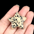 Polished Dalmatian Jasper star stone 30mm natural crystal star for healing and DIY decor - Dalmatian Stone