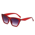 Retro cat-eye sunglasses with transparent red plastic frames and purple gradient lenses - Red Frame Double Grey Lens
