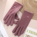 Women's warm touchscreen gloves in grey purple with soft suede-like fabric - One Size / Women's Edge Trim Purple