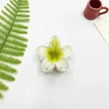 Frangipani hair claw clip with yellow and green gradient petals for women - Small (approx 4cm) / White Green