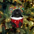 Süßer schwarzer Pekingese Hund mit Rentiergeweih in einem roten Weihnachtsstrumpf - Schwarzer Pekinese