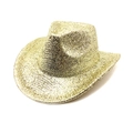 Detail of western cowboy hat featuring glittering gold sequins and metallic sparkle finish - M (56-58cm) / Light Yellow