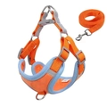 Orange dog harness vest with light blue mesh trim and matching leash, size M - Size M (Recommended 7-13 lbs) / Orange Harness + 1.2m Leash