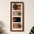 Modern wooden frame with air plants and landscape art panels for wall decor - 4-Grid Frame (Plants Not Included) / Coffee Wood