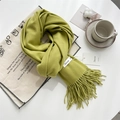 Soft turquoise cashmere-feel scarf with elegant fringe detail on a white background - Autumn Green