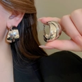 Macro detail of silver double-layered twisted metal hoop earrings with high-polish finish - Steel Pin Silver Hoop (50#)