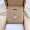Detalle macro de un collar con colgante de estrella de plata y circón en su caja - Plata (P112)