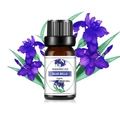 Wasserlösliches Blue Bells Duftöl in 10ml Braunglasflasche für Diffusoren und Aromatherapie - Glockenblume Duftöl