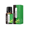 Huile essentielle de vanille naturelle 10ml avec emballage vert et flacon compte-gouttes - Vanille / 10ml