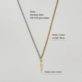 Detailed view of 18K gold and silver stainless steel chain with a zircon lightning pendant - Two-tone Chain Zircon Lightning