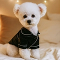 Luxurious black satin dog pajamas with white piping for small pets like poodles - Black