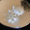 Sparkling snowflake earrings with white fluffy trim and a pearl stud on a mirrored base - White Snowflake Pom-pom