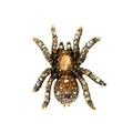 Close-up of vintage spider brooch with cat eye stone and champagne rhinestones on alloy - Champagne