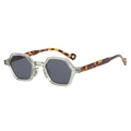 Classic polygon sunglasses with transparent grey frames and tortoiseshell temples - Grey Frame / Black Grey Lens