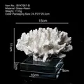 White resin coral statue on a clear glass base for luxury home decor - BYX7057-B (White Coral/Glass Base)