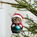 Funny tabby cat ornament with red Santa hat and teal ball hanging on a Christmas tree - Cat 10