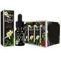 10ml freesia fragrance oil in amber glass dropper bottle with minimalist black paper box - RH-33 New Freesia / 10ml