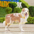 Impermeabile trasparente per cani con bordo giallo, mostrato su un cane in un parco esterno - XS / Bordo Giallo