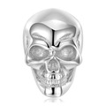 Macro detail of S925 sterling silver lion skull pendant with polished and matte finish - 925 Silver / Vintage Frosted Skull Style (PNC0138)