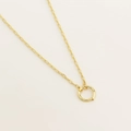 Golden paperclip chain necklace featuring a minimalist round spring clasp pendant - Gold Plated Necklace