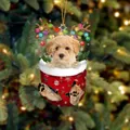 Süßer Welpe im Weihnachtsstrumpf Anhänger mit goldener Kordel für den Tannenbaum - Hänge-Stil B