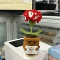 Handmade crochet flower pot with smile and thank you card for home and office desk decor - Red Carnation