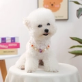 Elegant pet pearl necklace with red and gold beads worn by a white Bichon dog - Gypsophila Crystal Beaded Necklace-Red