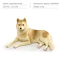 Lying Husky figurine in yellow and white, realistic animal model, size 15x9x9cm - Lying Husky (PL127-2796)
