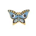 Sky Blue Celestial Eye Butterfly