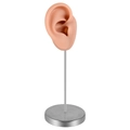 Macro view of flesh-colored silicone ear model on brushed silver metal display stand - Right Ear / Coffee