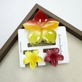 Frangipani hair clip set in red gradient and wine red colors with marble resin finish - Rainbow-patterned Five-petaled Flower + Frangipani Flower Set #1 (includes Card)