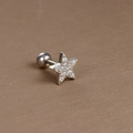 Detail of star-shaped stainless steel ear stud with cubic zirconia and screw back ball - Silver White Zirconia (Five-Pointed Star)